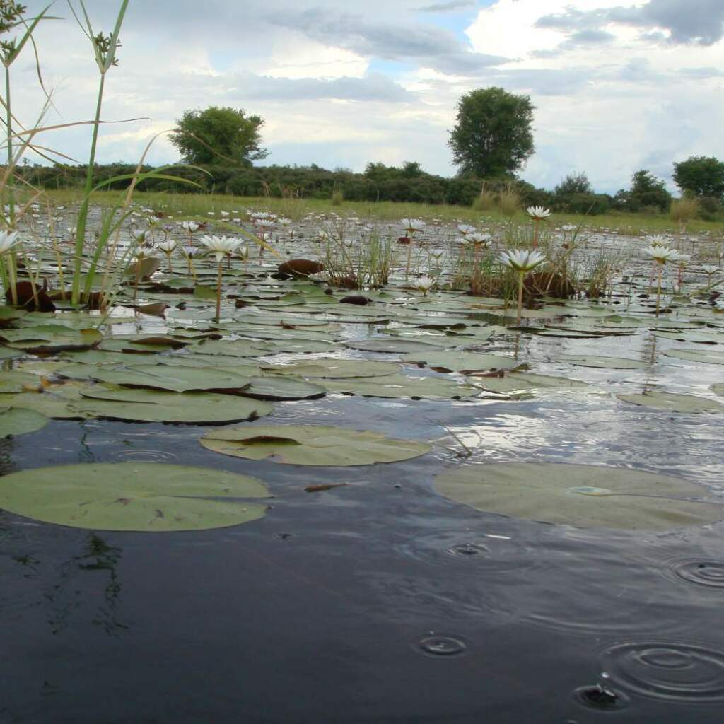 Erlebnis-Reisen Afrika Rundreise Abenteuern Johannesburg